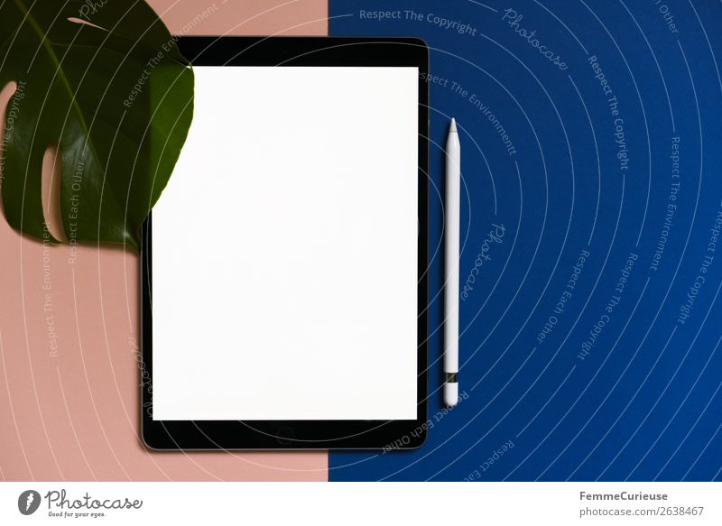 Tablet on salmon-colored and blue background Technik & Technologie Unterhaltungselektronik Fortschritt Zukunft Schreibwaren Papier Kommunizieren Kreativität