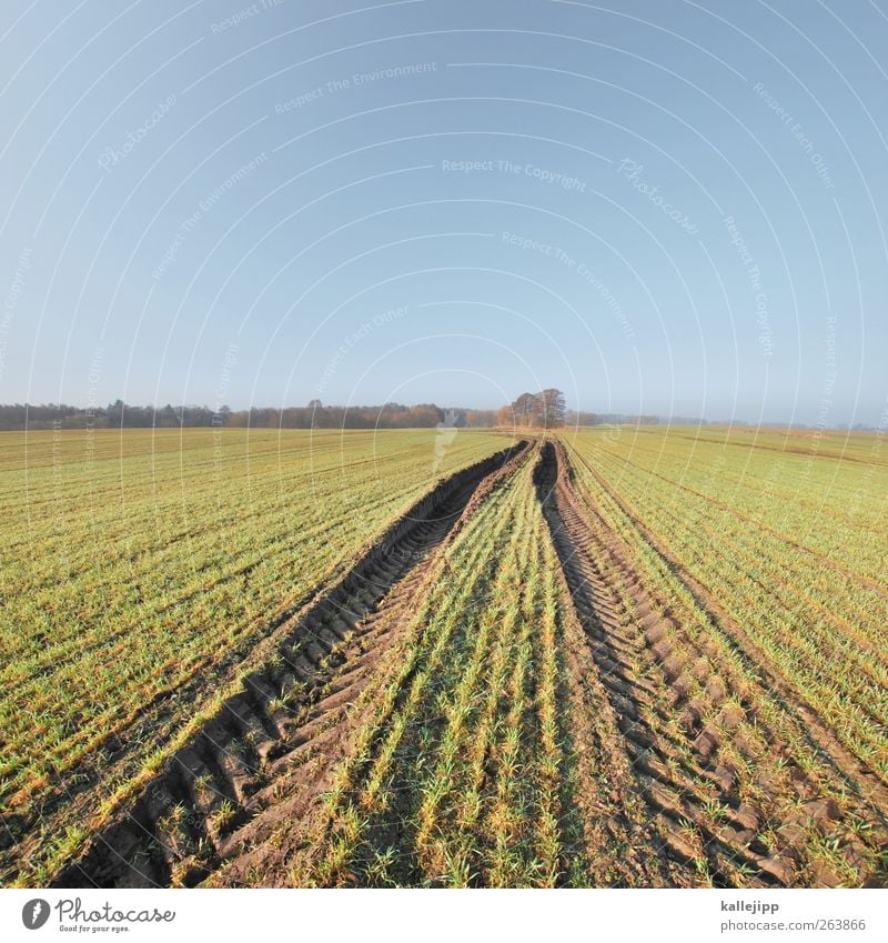 im märzen der bauer Arbeit & Erwerbstätigkeit Landwirtschaft Forstwirtschaft Umwelt Natur Landschaft Pflanze Urelemente Himmel Wolkenloser Himmel Frühling Klima