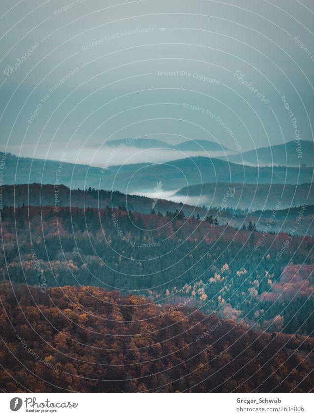 Täler der Rhön Umwelt Natur Landschaft Pflanze Tier Sturm Nebel Denken Tal Berge u. Gebirge Herbst Farbfoto Gedeckte Farben Menschenleer Dämmerung