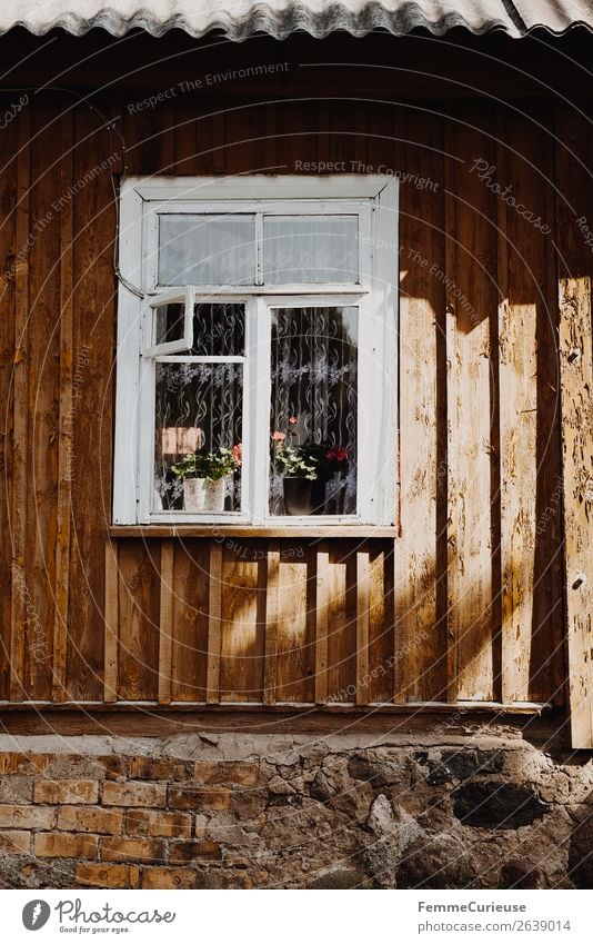 Facade and windows of an old house in Lithuania Haus Häusliches Leben Holzhaus Fassade Welldach Fenster alt Litauen Gardine Fensterbrett Pflanze Farbfoto