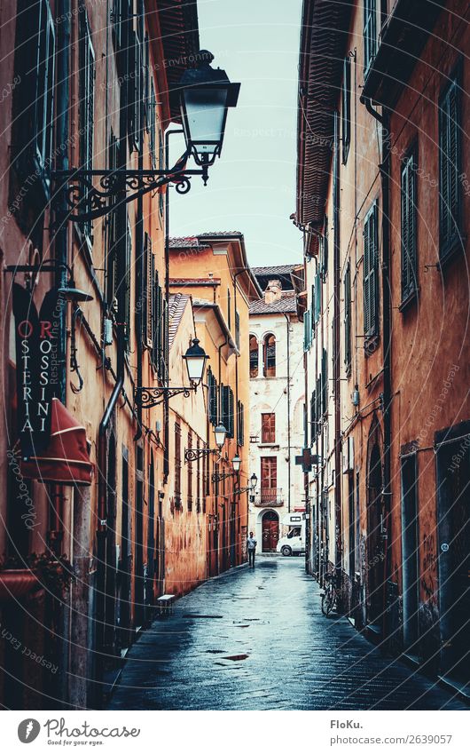 Pisa bei Regen Ferien & Urlaub & Reisen Tourismus schlechtes Wetter Italien Europa Stadt Stadtzentrum Altstadt Haus Bauwerk Gebäude Architektur Straße