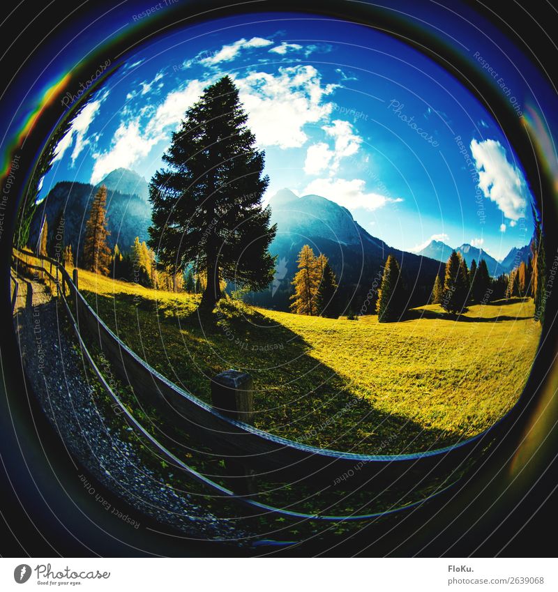 Ab auf die Alm Ferien & Urlaub & Reisen Tourismus Ausflug Berge u. Gebirge wandern Umwelt Natur Landschaft Urelemente Himmel Wolken Sonnenaufgang