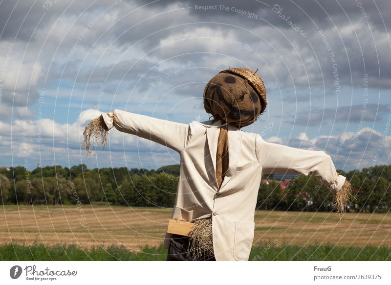 Hallo Herbst! maskulin Wolken Sonnenlicht Stroh Feld Wald Haus Jacke Hut Lächeln stehen Freude Lebensfreude Ernte Figur Puppe Schönes Wetter Außenaufnahme Tag