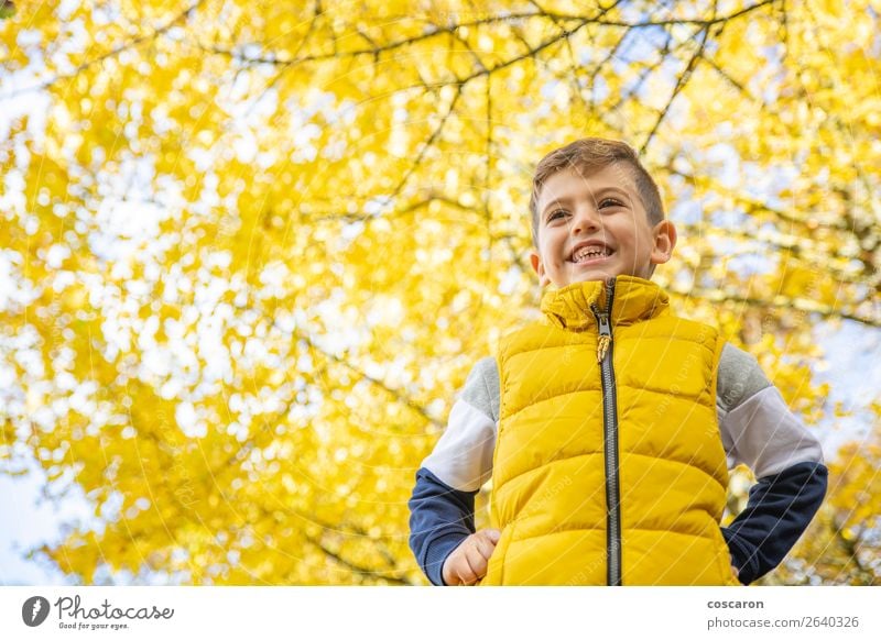 Süßes Kind gegen einen gelben Baum im Herbst Lifestyle Freude Glück schön Freizeit & Hobby Freiheit Mensch Baby Kleinkind Junge Mann Erwachsene Kindheit 1