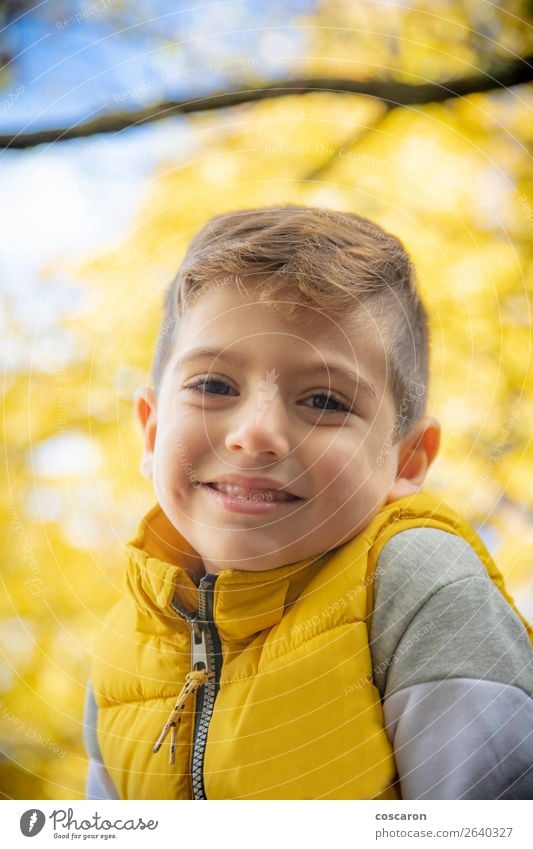 Süßes Kind gegen einen gelben Baum im Herbst Lifestyle Freude Glück schön Freizeit & Hobby Ferien & Urlaub & Reisen Freiheit Mensch Baby Kleinkind Junge Mann