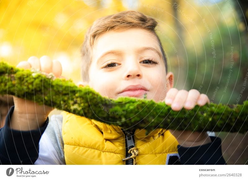 Schönes Kind mit gelber Weste im Herbst im Wald. Lifestyle Freude Glück schön Gesicht Spielen Ferien & Urlaub & Reisen Mensch Baby Kleinkind Junge Mann