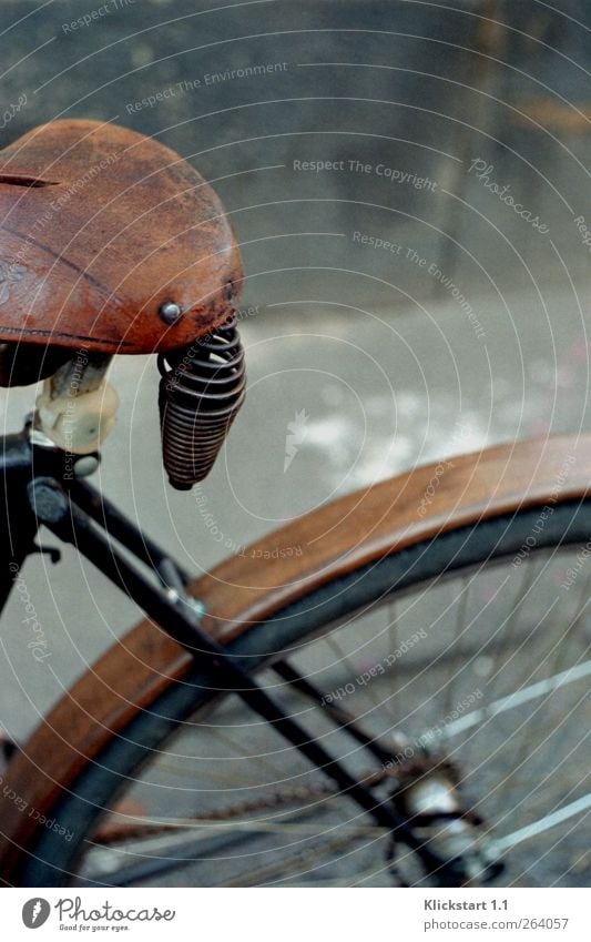 ...die Straßen entlang. Leben ruhig Freizeit & Hobby Fahrradfahren Fahrradsattel Reifen Speichen Umwelt Herbst Stadt Mauer Wand Verkehr Verkehrsmittel Fahrzeug