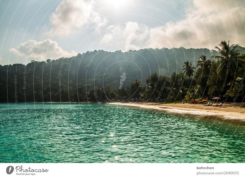 wenn wir träumen Ferien & Urlaub & Reisen Tourismus Ausflug Abenteuer Ferne Freiheit Natur Landschaft Himmel Wolken Palme Wellen Küste Strand Meer Insel