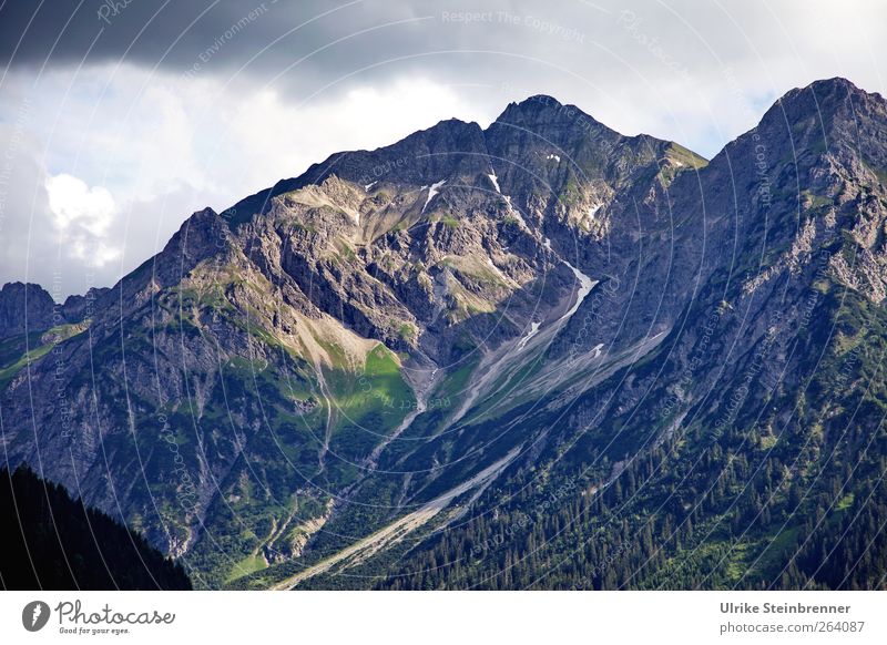 Für den Nordreisenden Ferien & Urlaub & Reisen Tourismus Abenteuer Sommer Berge u. Gebirge Umwelt Natur Landschaft Himmel Wolken Baum Gras Felsen Alpen