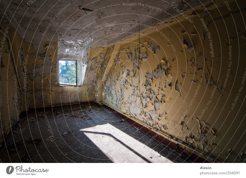 das Licht der vergangenen Tage Haus Bauwerk Gebäude Architektur Heilstätte Sanatorium Mauer Wand Fenster Sehenswürdigkeit alt authentisch kaputt trashig Stadt