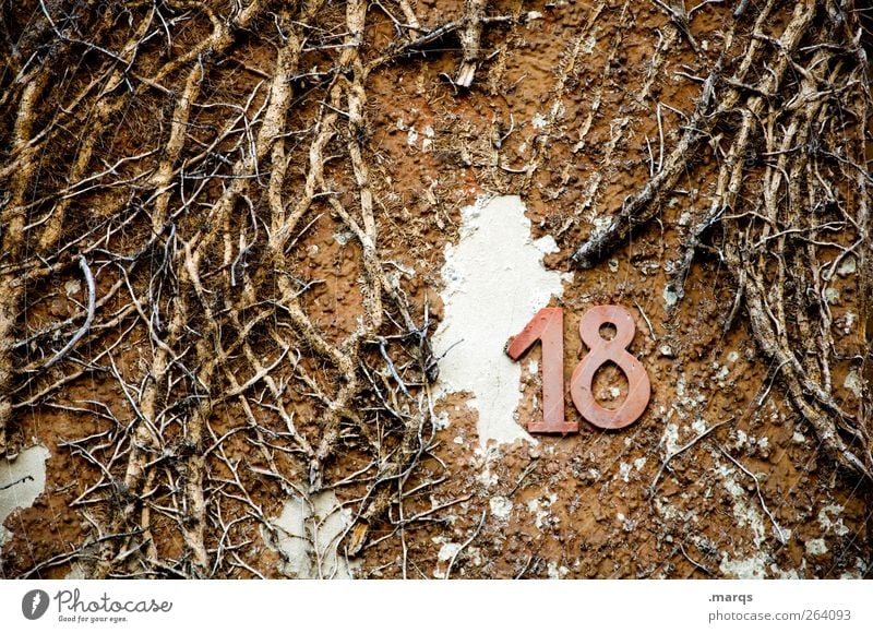 Alles Gute, Nordreisender Freude Feste & Feiern Natur Mauer Wand Zeichen Ziffern & Zahlen alt trashig Adressat Geburtstag Glückwünsche Kontrast