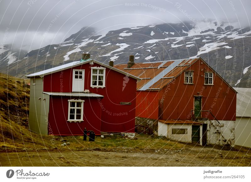 NORDREISENDER Alles Gute Umwelt Natur Hügel Berge u. Gebirge Schneebedeckte Gipfel Fjord Island Djupavik Westfjord Dorf Haus Hütte Bauwerk Gebäude Fenster Tür