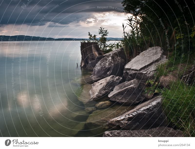 die Ruhe vor dem Sturm II Umwelt Natur Landschaft Himmel Wolken Gewitterwolken Sonnenlicht Sommer Wetter schlechtes Wetter Unwetter Pflanze Baum Wildpflanze