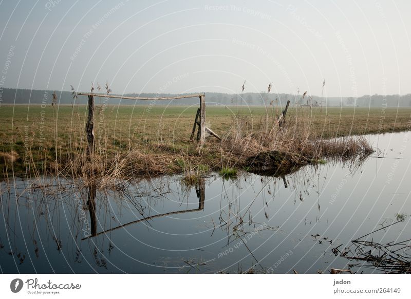 wasserweg. ruhig Schwimmen & Baden Umwelt Natur Landschaft Wasser Wolkenloser Himmel Sträucher Wiese Feld Moor Sumpf Teich Bach Verkehrswege Unendlichkeit nass