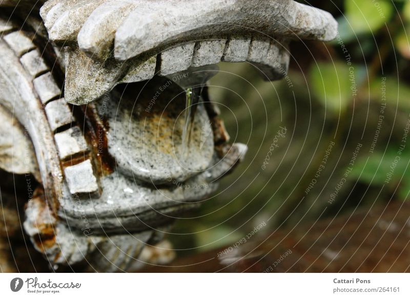 drool of the beast Skulptur Tier Drache Fabelwesen Glücksbringer 1 Stein Wasser exotisch kalt Zufriedenheit Reinheit Zähne fließen Brunnen Zunge Steingut Japan