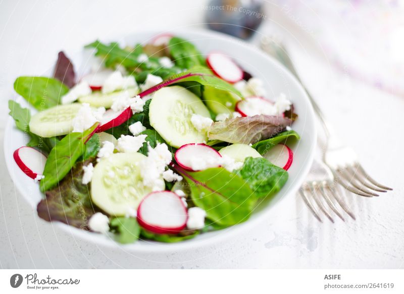 Gemischter Salat mit Babyblättern, Rettich, Gurke und Fetakäse Käse Gemüse Ernährung Mittagessen Abendessen Vegetarische Ernährung Diät Teller