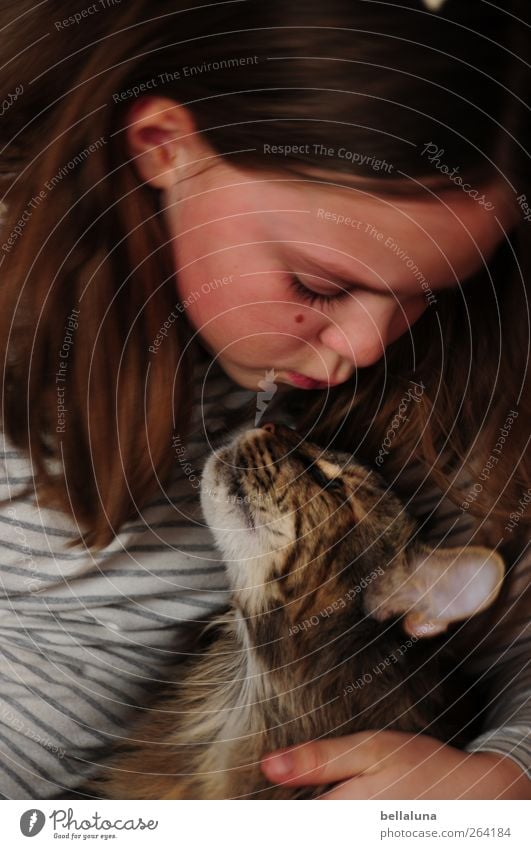 Treue Freundin Mensch feminin Kind Mädchen Kindheit Leben Kopf Haare & Frisuren Gesicht Auge Ohr Nase Mund Lippen 1 8-13 Jahre Tier Haustier Katze Tiergesicht