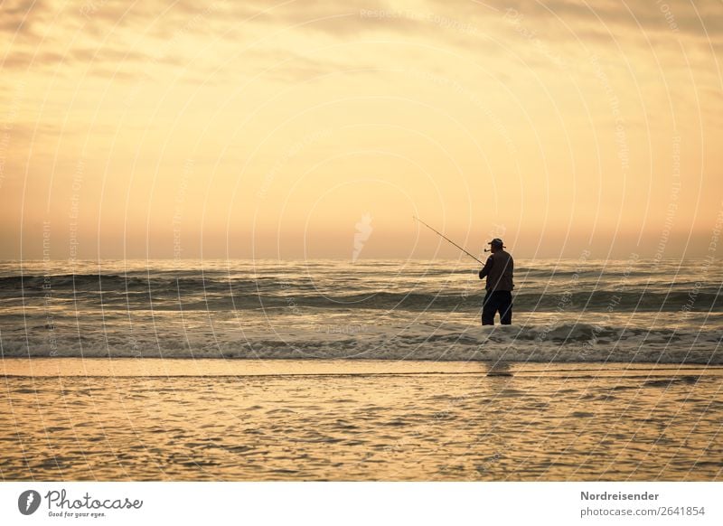 Angler in der Brandung Freizeit & Hobby Angeln Ferien & Urlaub & Reisen Ferne Freiheit Camping Sommer Sommerurlaub Strand Meer Mensch maskulin Mann Erwachsene