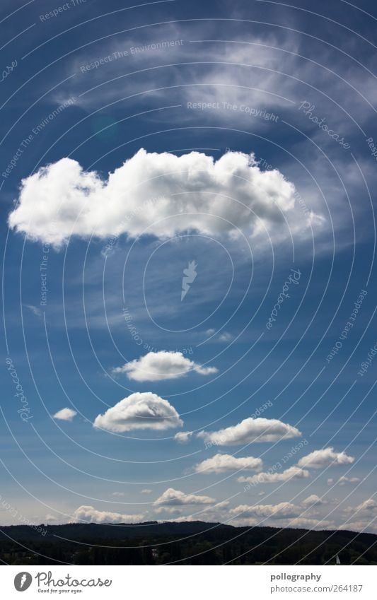 schäfchenwolken Ferien & Urlaub & Reisen Sommerurlaub Umwelt Natur Landschaft Pflanze Luft Erde Himmel Wolken Klima Wetter Schönes Wetter Wind Grünpflanze Wald