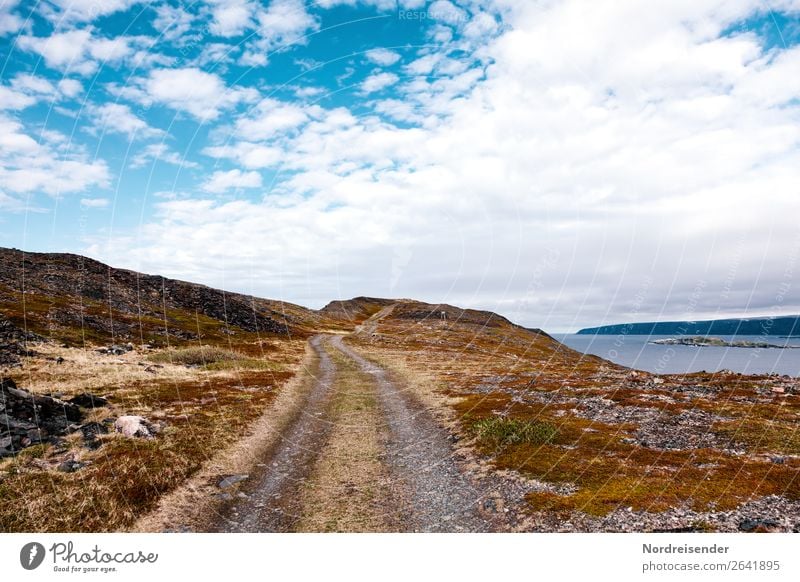 Straße ins Nirgendwo Ferien & Urlaub & Reisen Tourismus Abenteuer Ferne Freiheit Meer Insel Natur Landschaft Urelemente Wasser Himmel Wolken Schönes Wetter