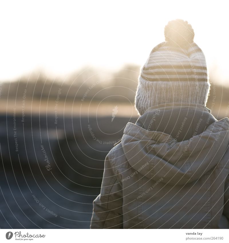 Goldener Abend Kind Junge Kindheit 1 Mensch 1-3 Jahre Kleinkind Herbst Winter Jacke Mütze Zukunft herbstlich November Oktober Dezember Januar kalt Farbfoto