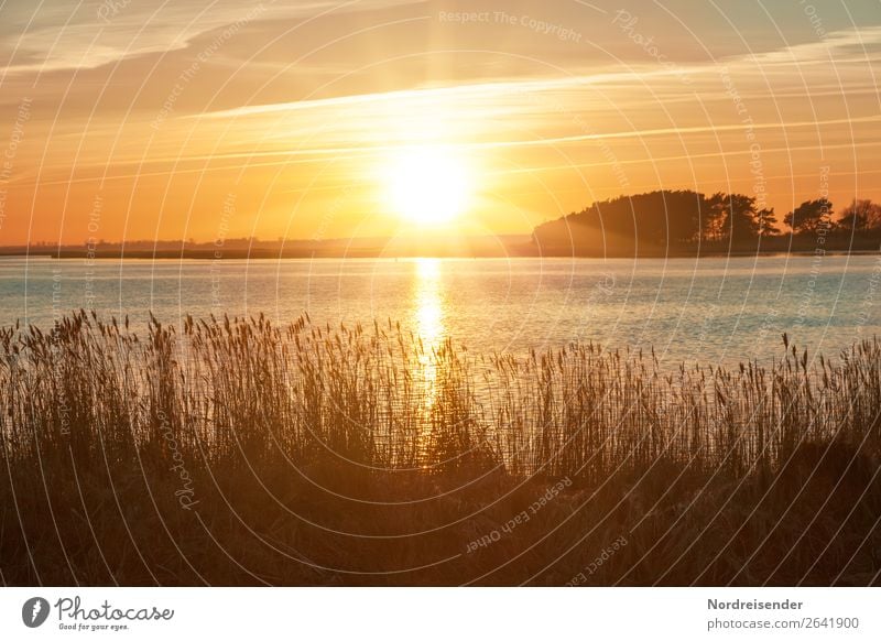 Sommerabend am Bodden Ferien & Urlaub & Reisen Tourismus Camping Sommerurlaub Sonne Meer Natur Landschaft Wasser Himmel Wolken Sonnenaufgang Sonnenuntergang