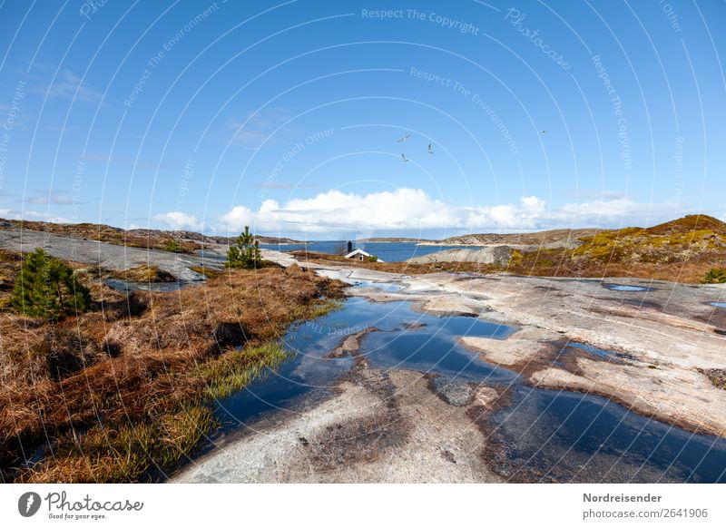 Wohnen in den Schären Ferien & Urlaub & Reisen Tourismus Sommer Sommerurlaub Strand Meer Insel Natur Landschaft Urelemente Wasser Schönes Wetter Gras Felsen