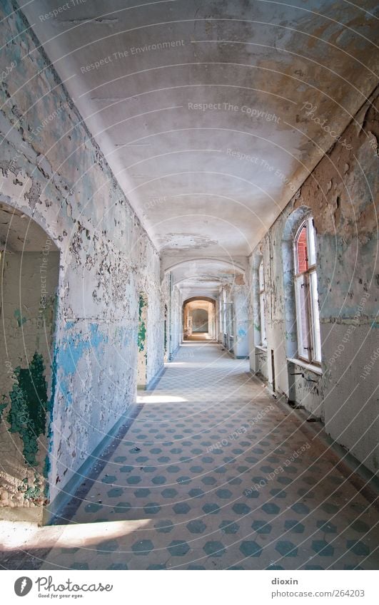 Der Flur Menschenleer Haus Bauwerk Gebäude Architektur Heilstätte Sanatorium Mauer Wand Fenster Tür Sehenswürdigkeit alt Verfall Vergangenheit Vergänglichkeit