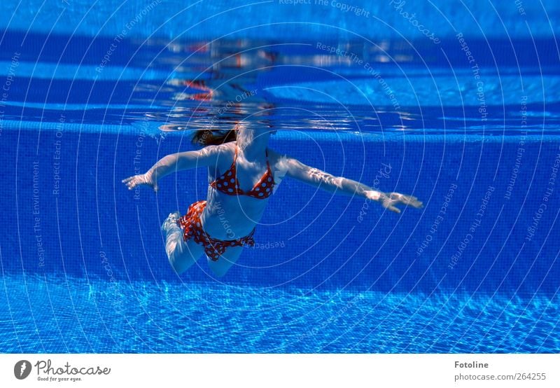 Und Luft holen!!! Mensch feminin Kind Mädchen Kindheit Körper Haut Brust Arme Hand Finger Bauch Beine Urelemente Wasser nass blau Schwimmbad Schwimmsport Nixe