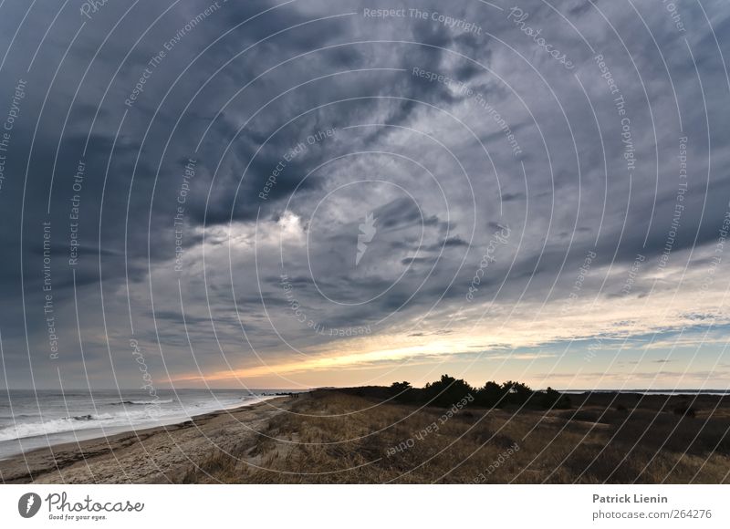 Nach uns die Sintflut Umwelt Natur Landschaft Urelemente Luft Himmel Wolken Gewitterwolken Sonnenaufgang Sonnenuntergang Sonnenlicht Klima Klimawandel Wetter