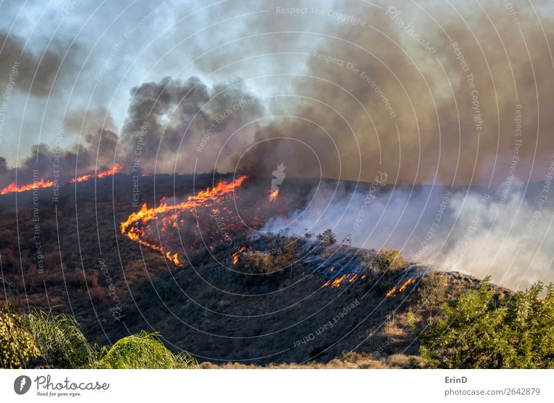 Wollebürste Feuerflammen und Rauch am Hang brennen schön Umwelt Natur Landschaft Hügel natürlich wild Angst Farbe Zerstörung Bürste Lauffeuer Woolsey