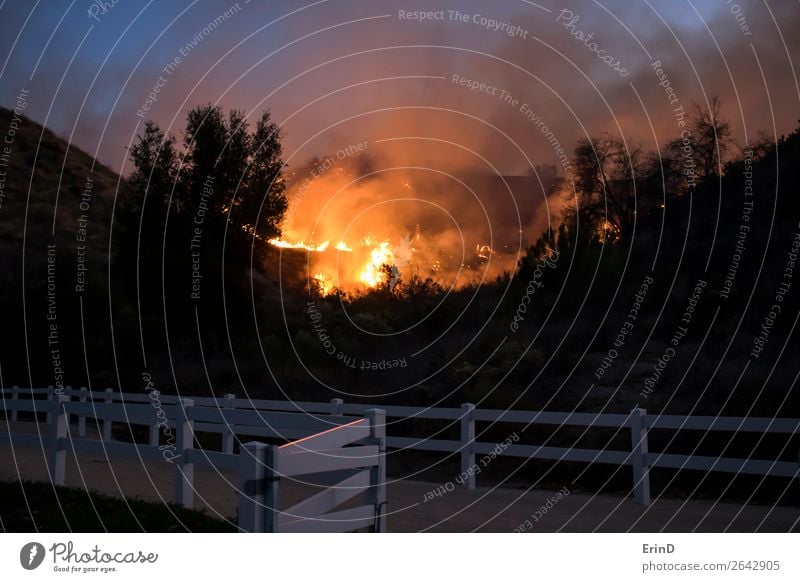 Feuer brennender Hügel hinter dem weißen Parkzaun schön Umwelt Natur Landschaft Coolness einzigartig natürlich wild Angst Farbe Zerstörung Bürste Lauffeuer