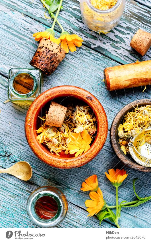 Frische und getrocknete Ringelblumenblüten Blume Kraut Pflanze Medizin Gesundheit natürlich Kräuterkundige Minenwerfer Stössel Natur Flora geblümt orange