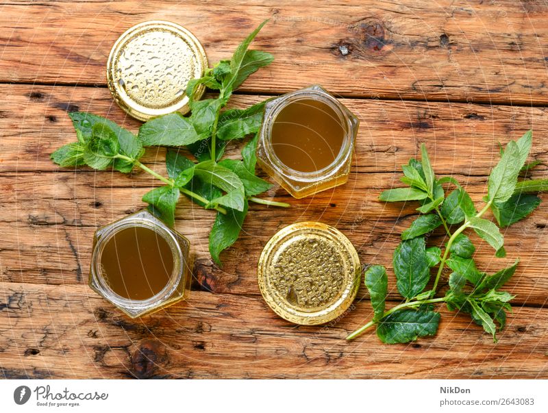 Marmelade aus frischer Minze Krause Minze süß Glas Pfefferminz Götterspeise selbstgemacht Kräuterbuch Gras Blatt grün Tee Bestandteil Laubwerk duftig riechen