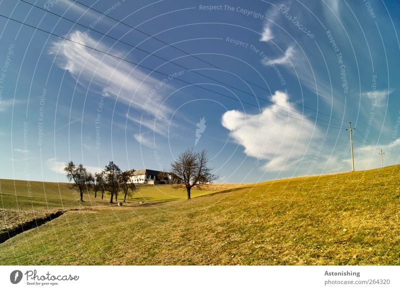 Bauernhof Umwelt Natur Landschaft Pflanze Erde Himmel Wolken Frühling Klima Wetter Schönes Wetter Wärme Baum Gras Grünpflanze Wiese Hügel Bach Haus Bauwerk