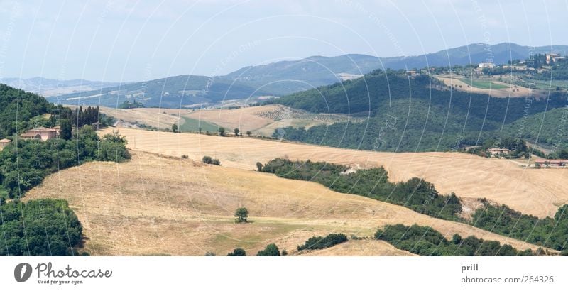 Tuscany landscape Sommer Haus Landwirtschaft Forstwirtschaft Kultur Landschaft Pflanze Sträucher Feld Gebäude Architektur friedlich Idylle Tradition Toskana