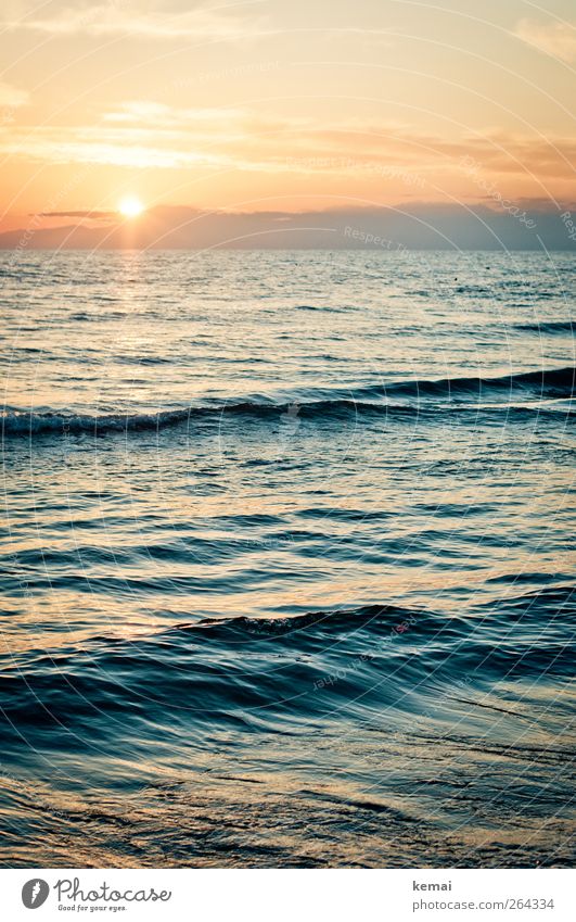 Das Licht geht harmonisch Zufriedenheit Erholung ruhig Ferien & Urlaub & Reisen Ausflug Sommer Sommerurlaub Sonne Strand Meer Wellen Wasser Schönes Wetter Küste