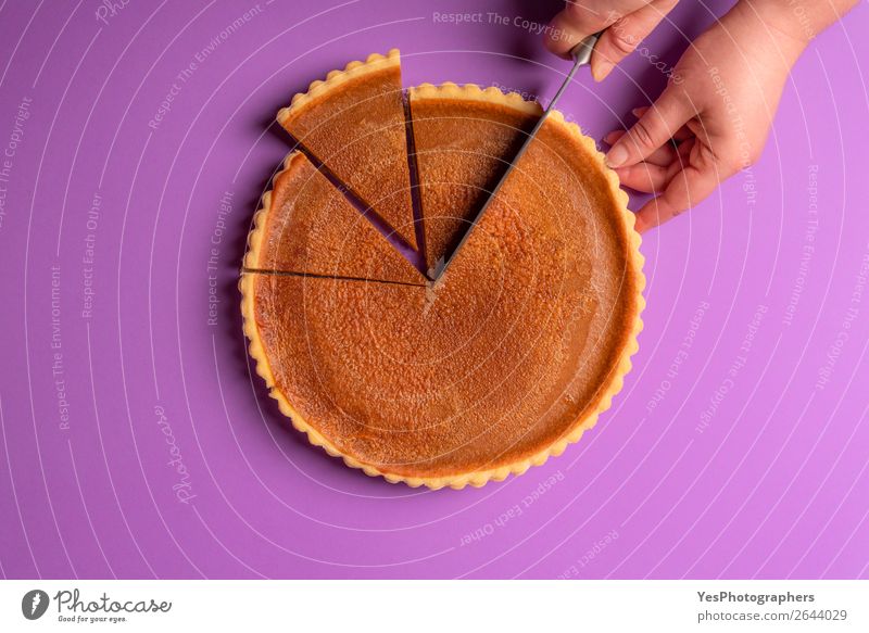 Frauenhände schneiden einen Kürbiskuchen. Violetter Hintergrund. Kuchen Dessert Süßwaren Feste & Feiern Erntedankfest lecker süß violett Tradition obere Ansicht