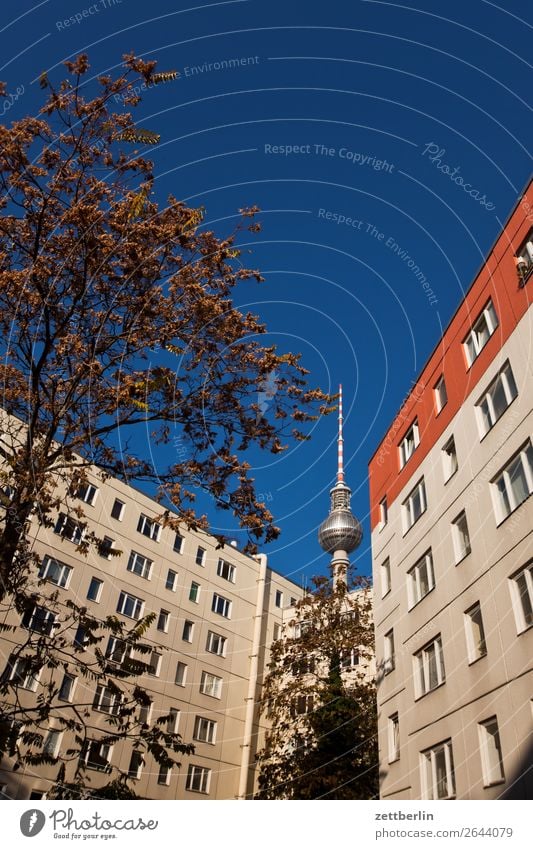 Fernsehturm, vom Nikolaiviertel gesehen Alexanderplatz Architektur Berlin Büro Großstadt Deutschland Berliner Fernsehturm Funktechnik Froschperspektive