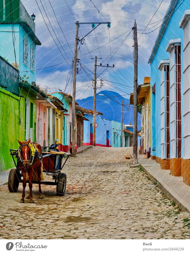 Cuba - Street View w Donkey Cart Haus Himmel Unwetter Kuba Dorf Stadt Bauwerk Gebäude Architektur Fassade Verkehrsmittel Straße Pferdekutsche Nutztier fahren