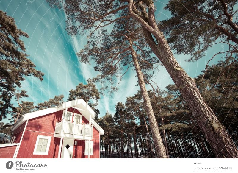 Ferienhaus Ferien & Urlaub & Reisen Häusliches Leben Wohnung Haus Umwelt Natur Landschaft Himmel Wolken Klima Schönes Wetter Baum Wald Hütte Fassade Fenster