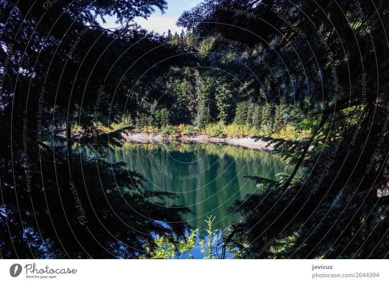 See Umwelt Natur Landschaft Pflanze Erde Wasser Baum Berge u. Gebirge grün Farbfoto Außenaufnahme Menschenleer Tag Zentralperspektive Blick in die Kamera