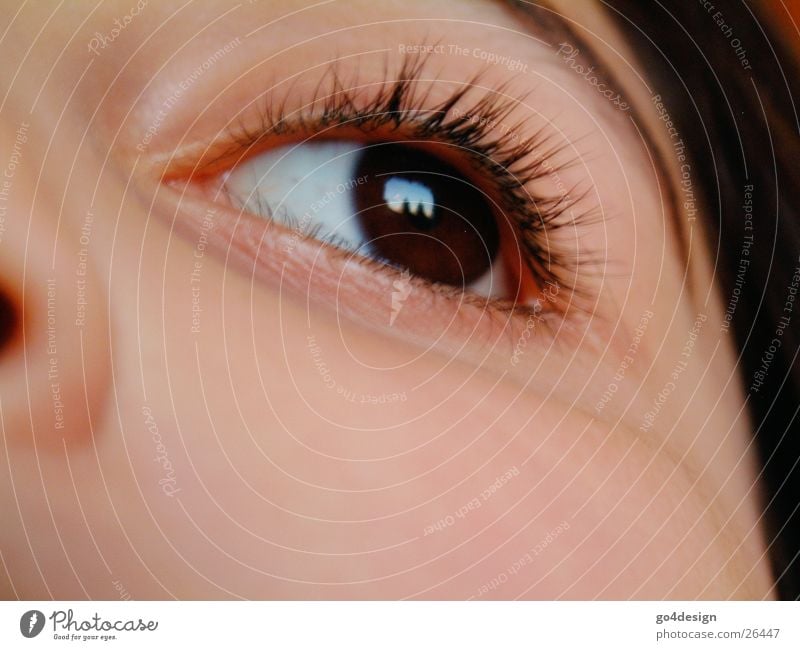 Die Welt mit Kinderaugen sehen Mädchen Wange Wimpern Lied Augenbraue Frau Nase Gesicht Blick Linse Regenbogenhaut Haut