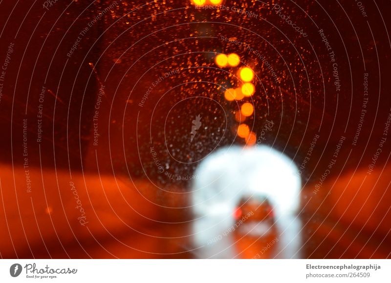 Licht im Dunkel Verkehrswege Autofahren Straße PKW braun rot schwarz weiß Farbfoto Tag Silhouette Reflexion & Spiegelung Gegenlicht Unschärfe Zentralperspektive