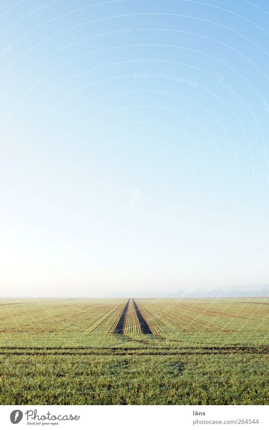 gerade aus Landschaft Erde Himmel Wolkenloser Himmel Frühling Schönes Wetter Feld Unendlichkeit blau grün Umwelt Wege & Pfade Ferne Spuren Farbfoto