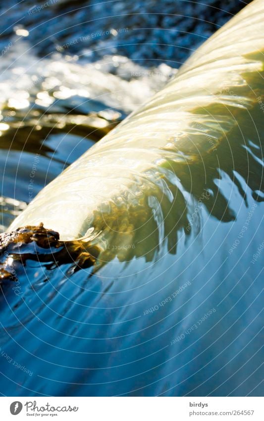 fließendes Wasser, Stromschnelle an einem Bach. Stromschnellen Fluss Leben Natur authentisch nass frisch Lebenselexier natürlich Wasserkraft Bewegung