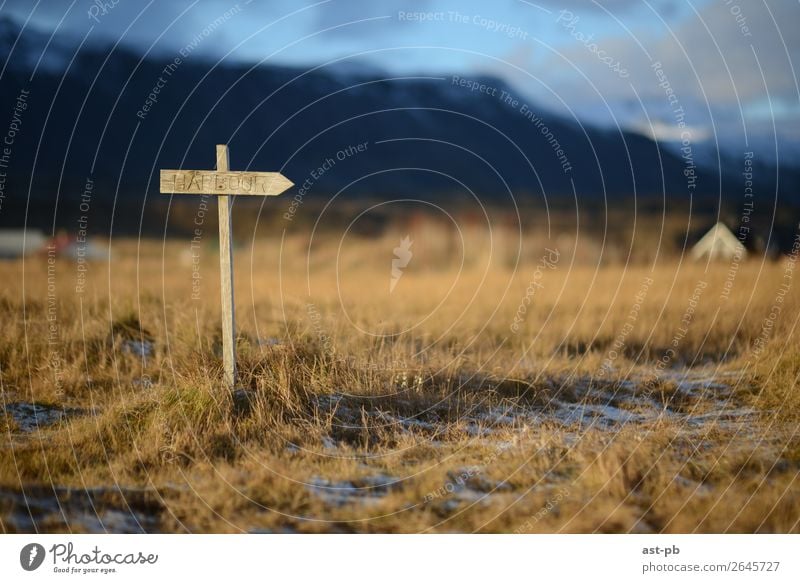 Richtige Richtung Natur Landschaft Schönes Wetter Eis Frost Gras Holz Denken Farbfoto Außenaufnahme Textfreiraum rechts Abend Unschärfe