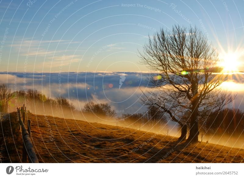 Sonnenaufgang auf dem Feldberg Ferien & Urlaub & Reisen Tourismus Ausflug Abenteuer Ferne Freiheit Berge u. Gebirge wandern Natur Landschaft Himmel Wolken