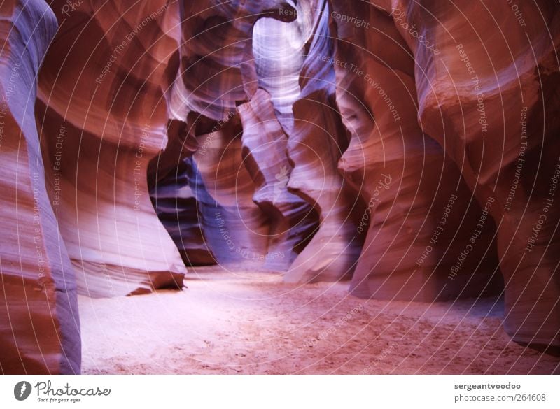 Antelope Canyon - Upper Canyon Schlucht Natur Landschaft Slot Canyon ästhetisch außergewöhnlich fantastisch braun träumen entdecken Farbe rein Sinnesorgane