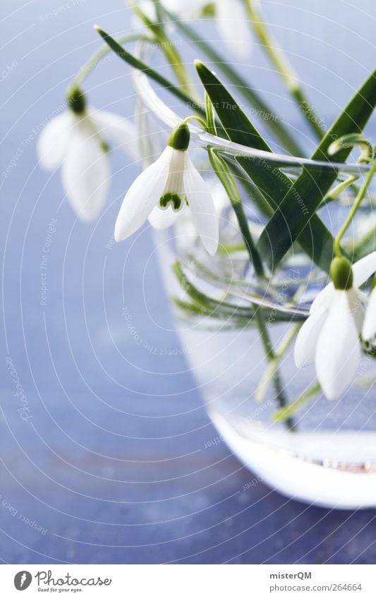 Frühlingsgruß. Kunst ästhetisch Zufriedenheit Frühlingsblume Frühlingstag Frühlingsfarbe Frühlingsfest Schneeglöckchen Vase Blume Blumenstrauß